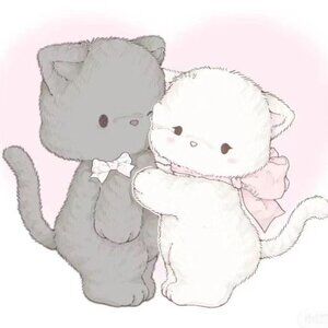 Meet your Posher, Kari